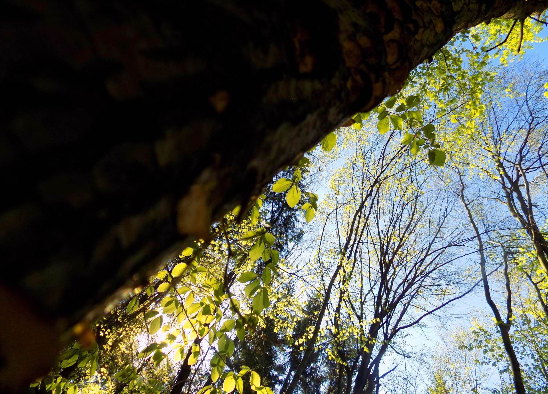 fullscreen 07_2016a.jpg